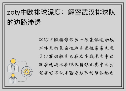 zoty中欧排球深度：解密武汉排球队的边路渗透