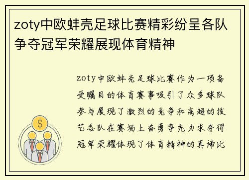 zoty中欧蚌壳足球比赛精彩纷呈各队争夺冠军荣耀展现体育精神