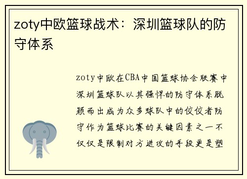 zoty中欧篮球战术：深圳篮球队的防守体系