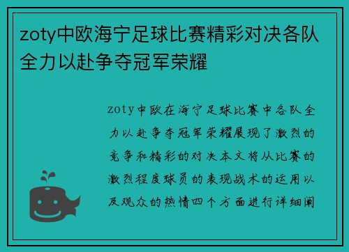 zoty中欧海宁足球比赛精彩对决各队全力以赴争夺冠军荣耀